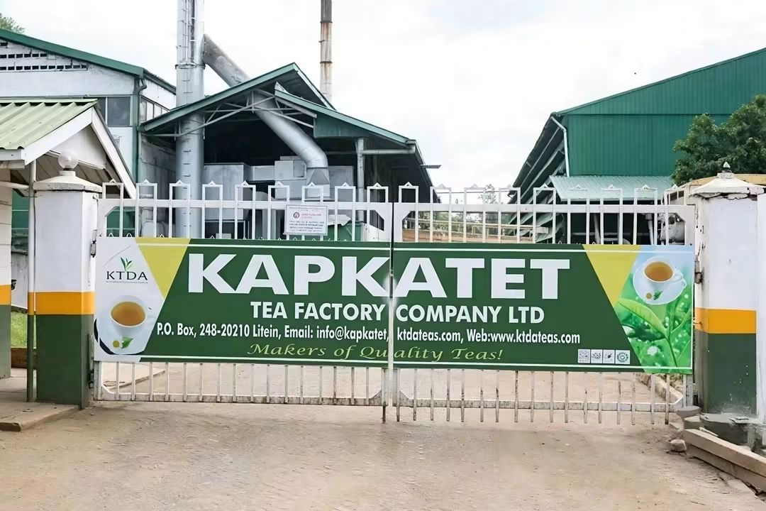 MOMUL TOPS BOMET AND KERICHO TEA BONUS PAYOUTS FOR 2025/2026 FINANCIAL YEAR