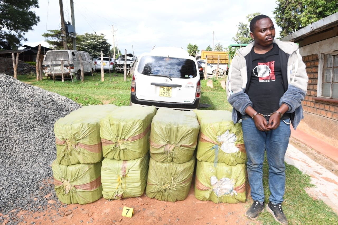 Dramatic Chase Ends in Major Bhang Bust as Bomet Detectives Tighten Noose on Drug Trade